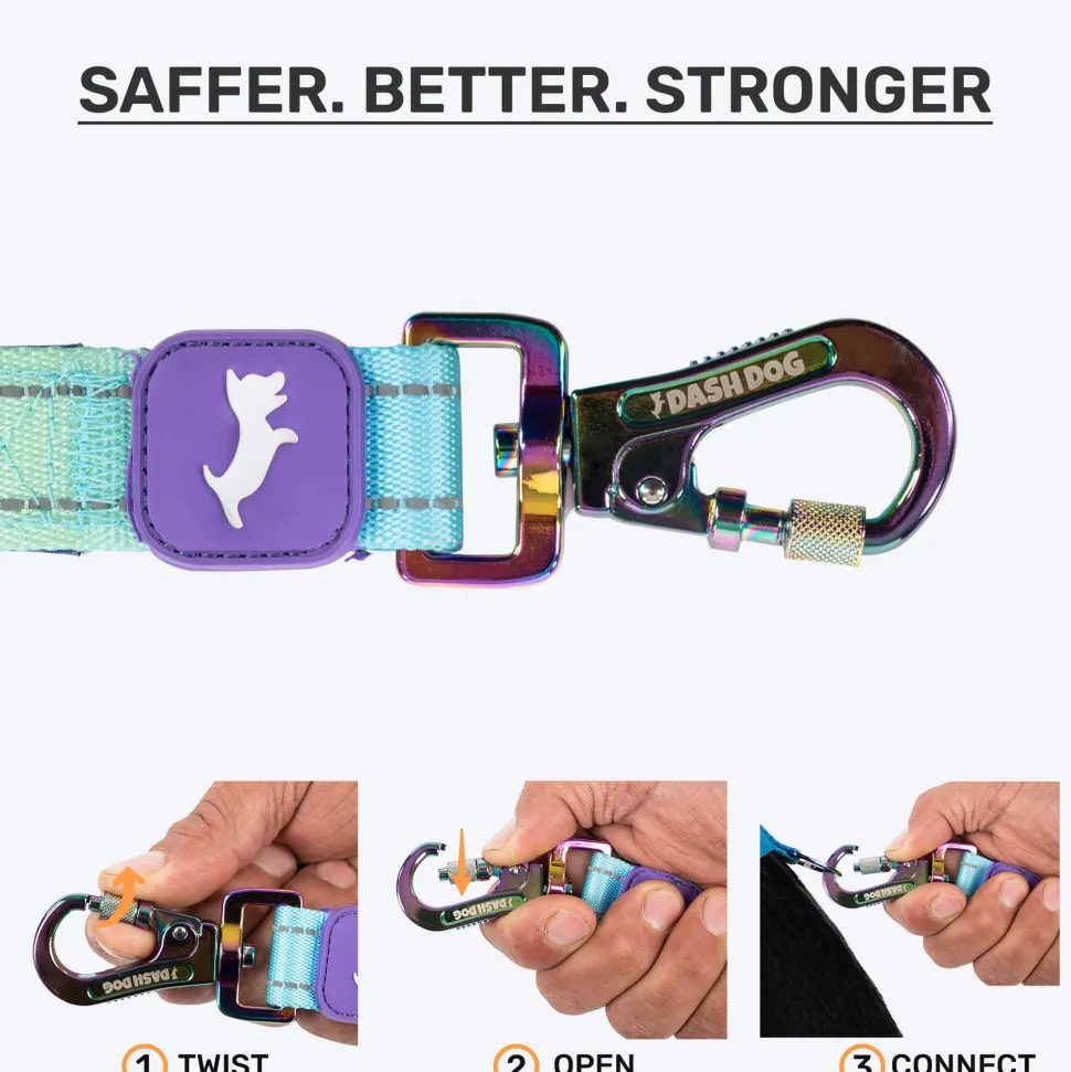 Dash Dog Ethernal Fade Dual Handle Leash For Dog - Aqua