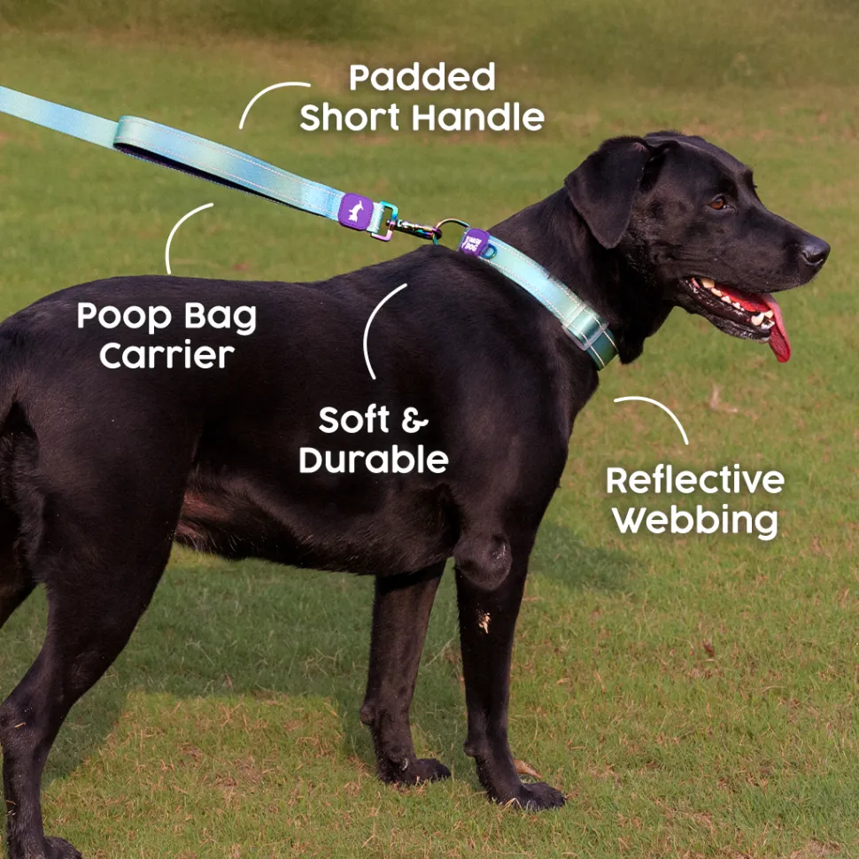 Dash Dog Ethernal Fade Dual Handle Leash For Dog - Aqua