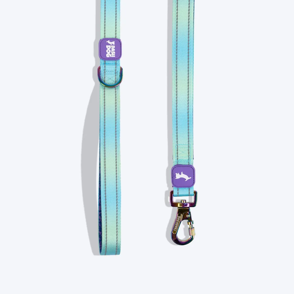 Dash Dog Ethernal Fade Dual Handle Leash For Dog - Aqua