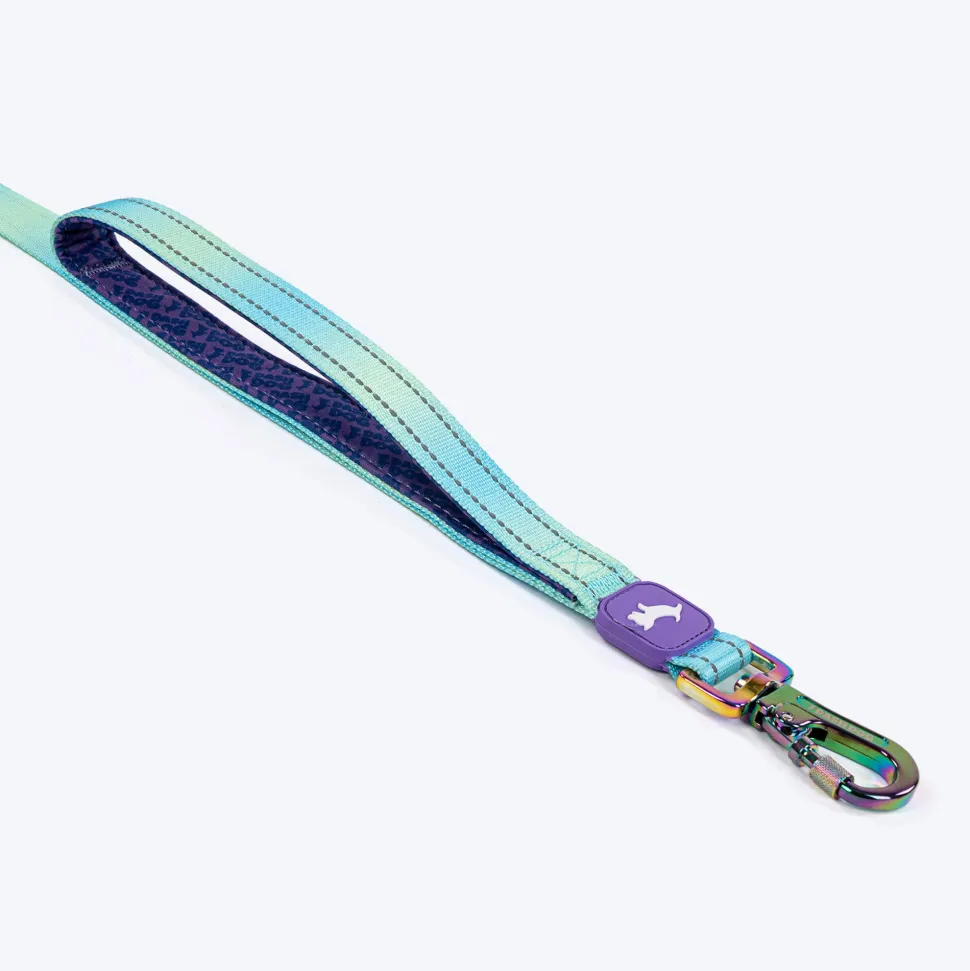 Dash Dog Ethernal Fade Dual Handle Leash For Dog - Aqua