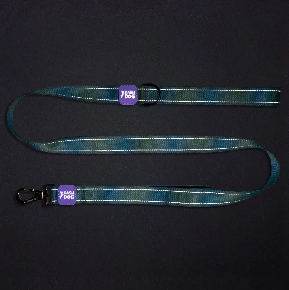 Dash Dog Ethernal Fade Dual Handle Leash For Dog - Aqua