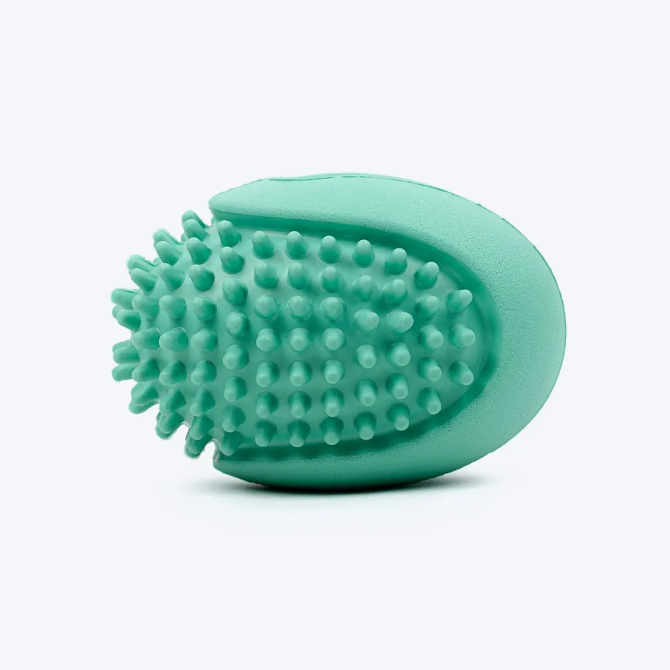 Dash Dog Explorer's Shell Chew Toy For Dog - Teal