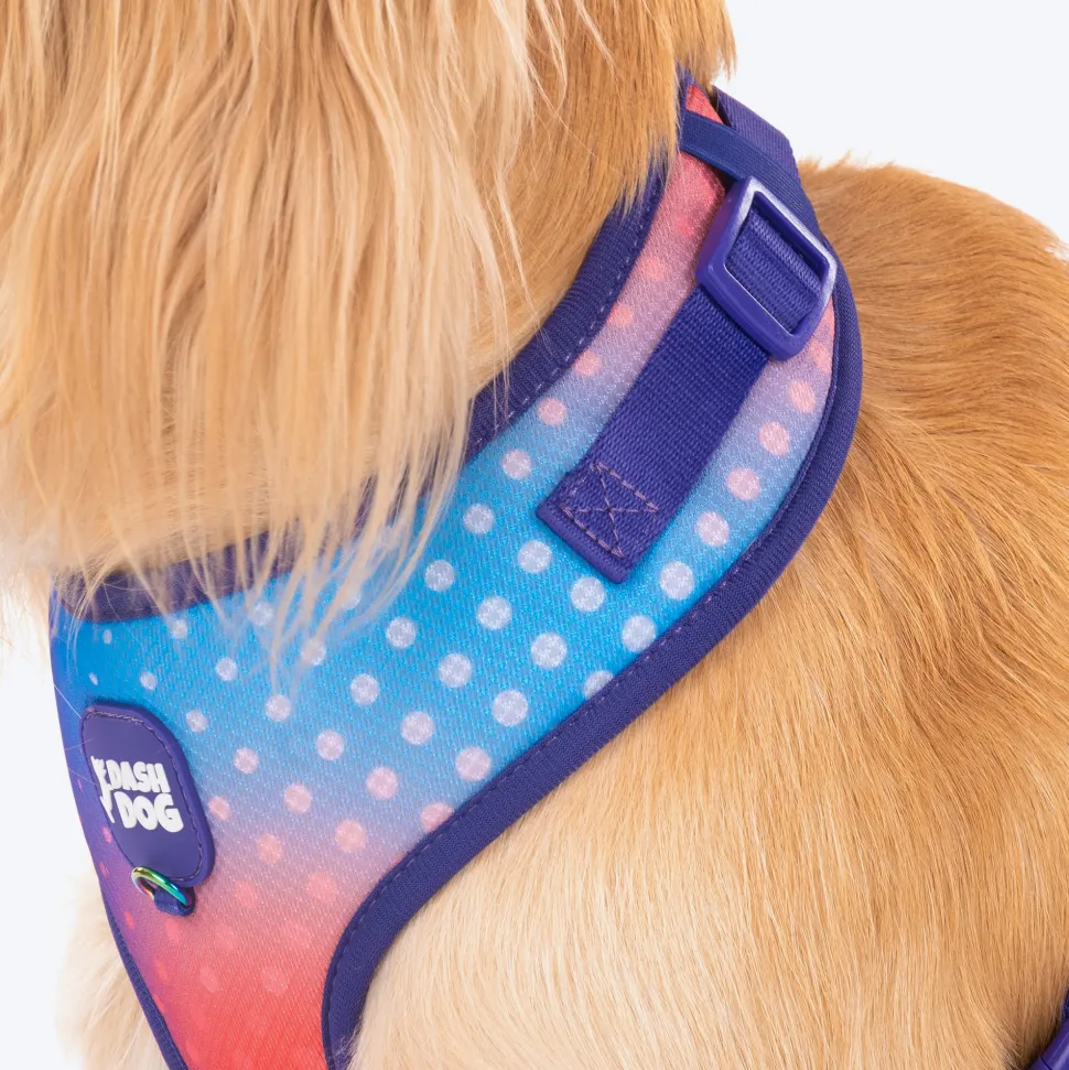Dash Dog Flow Easy Walk Harness - Violet & Red