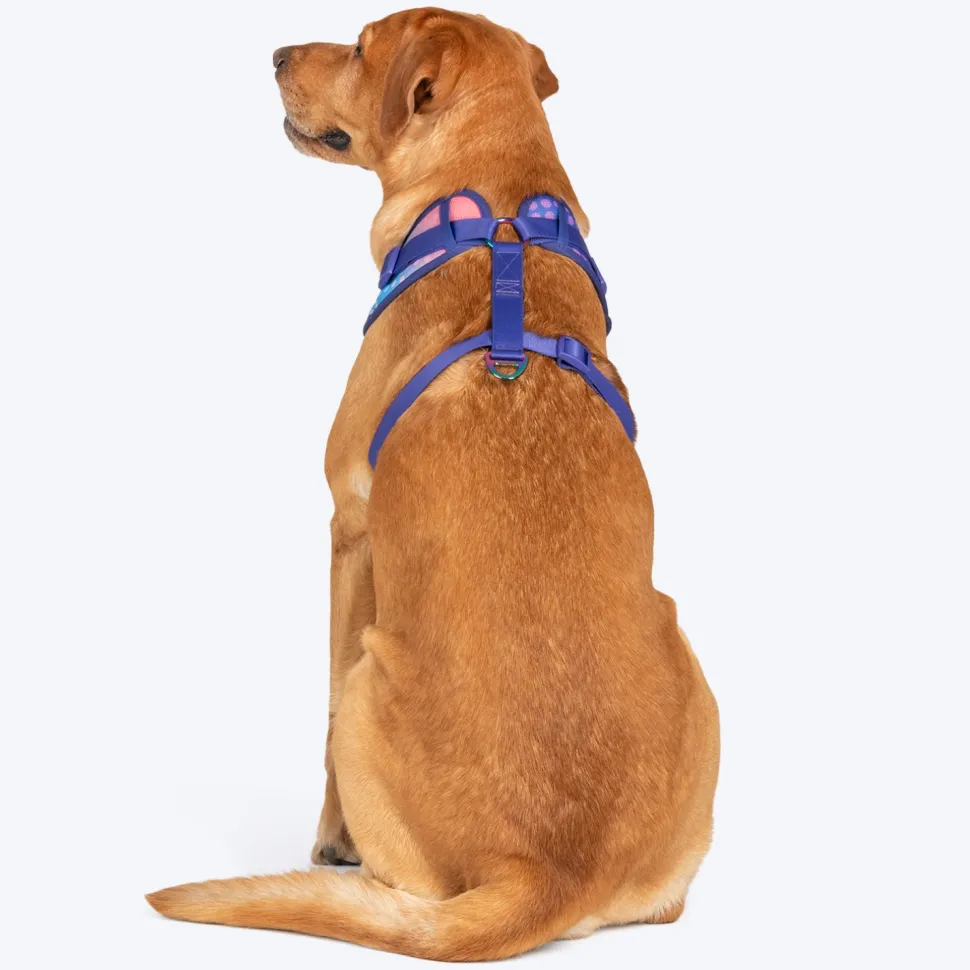 Dash Dog Flow Easy Walk Harness - Violet & Red