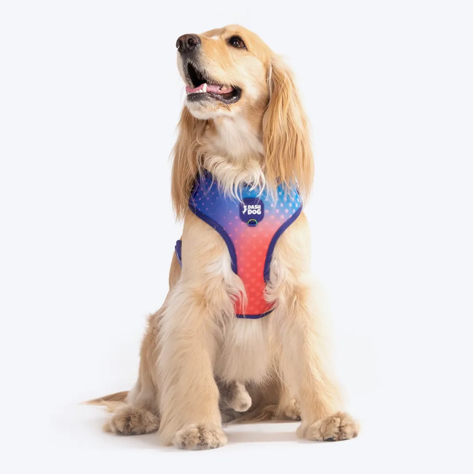 Dash Dog Flow Easy Walk Harness - Violet & Red