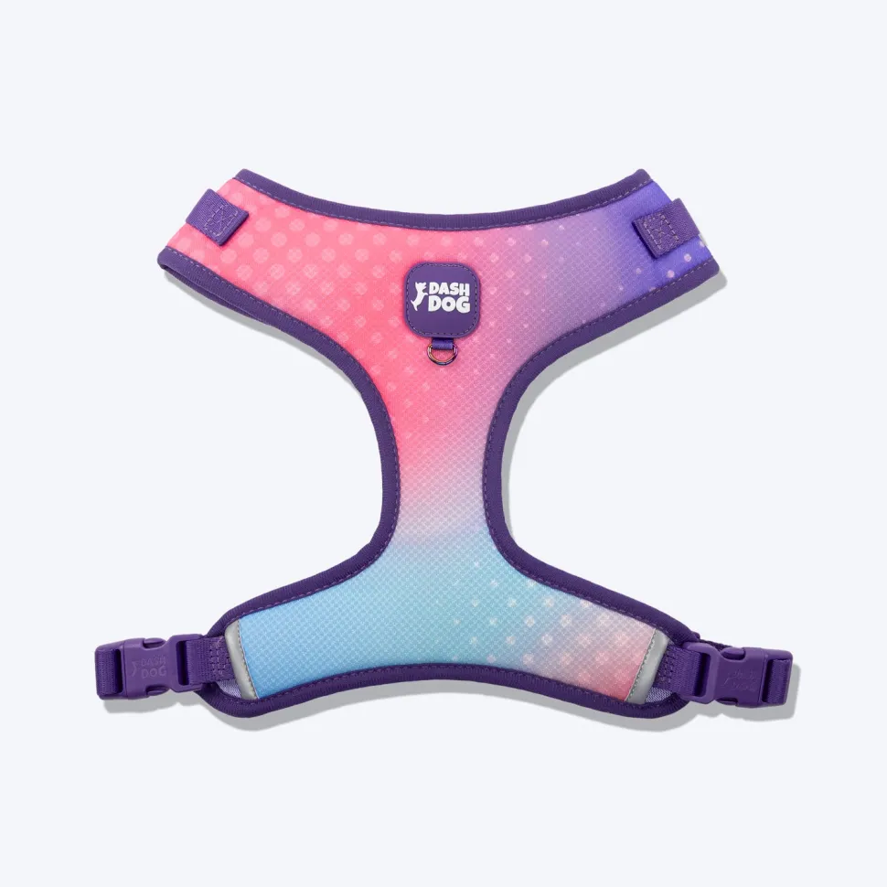 Dash Dog Flow Easy Walk Harness - Pink & Aqua Blue