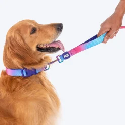 Dash Dog Flow Printed Leash - Pink & Aqua Blue