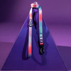Dash Dog Flow Printed Leash - Violet & Red