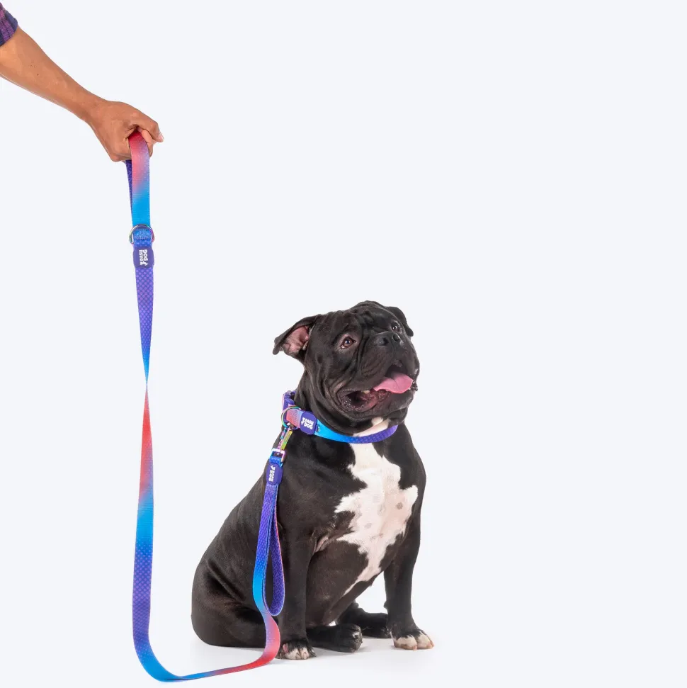 Dash Dog Flow Printed Leash - Violet & Red