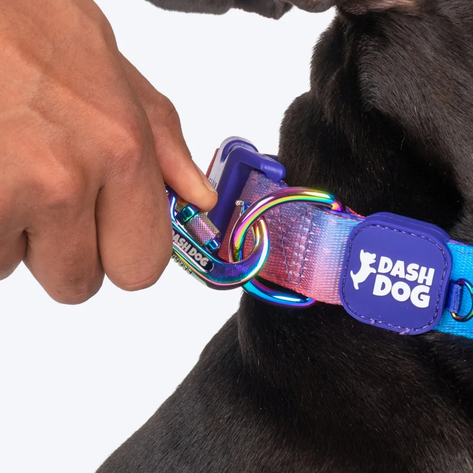 Dash Dog Flow Printed Leash - Violet & Red