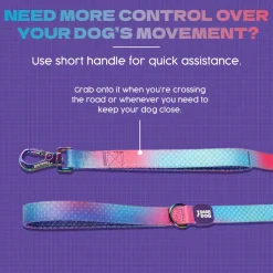 Dash Dog Flow Print Leash - Pink & Aqua Blue