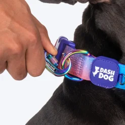 Dash Dog Flow Print Leash - Violet & Red