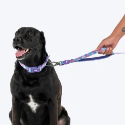 Dash Dog Galaxy Dual Handle Leash For Dog - Purple