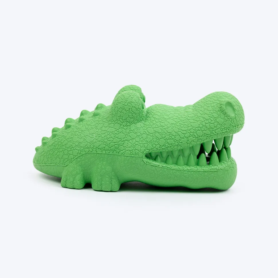 Dash Dog Goofy Gator Chew Toy For Dog - Green