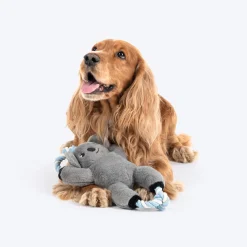 Dash Dog Kuddly Koala Squeaky Plush Toy For Dog - Grey