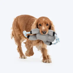 Dash Dog Kuddly Koala Squeaky Plush Toy For Dog - Grey