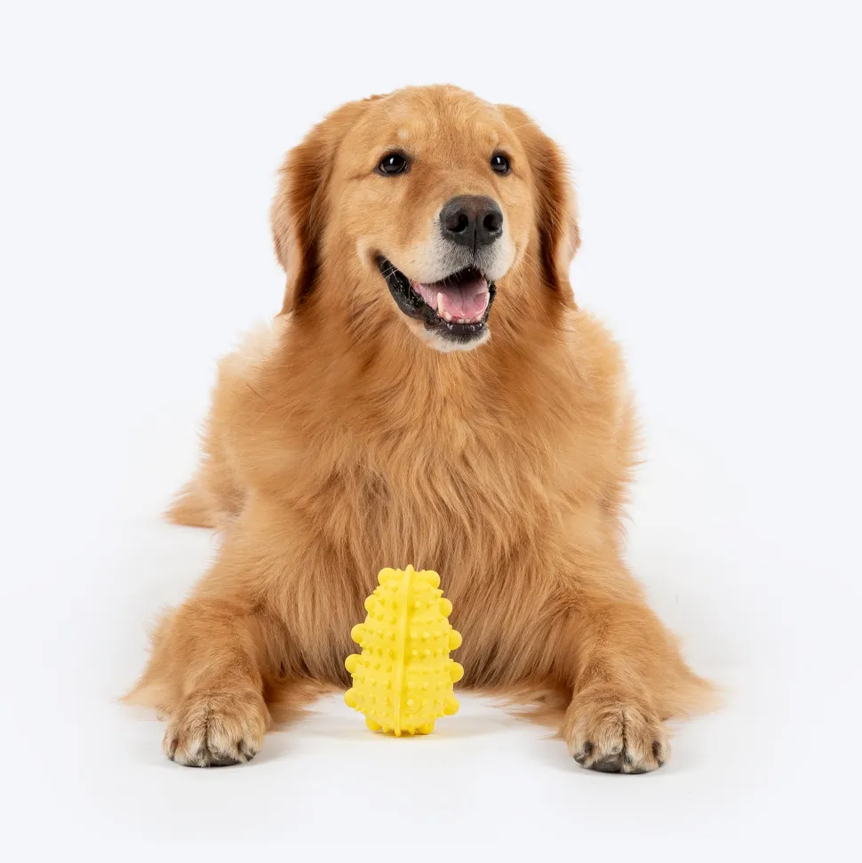 Dash Dog Mello-Yello Peanut Toy For Dog - Yellow