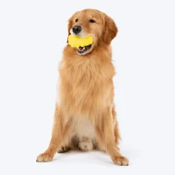 Dash Dog Mello-Yello Peanut Toy For Dog - Yellow