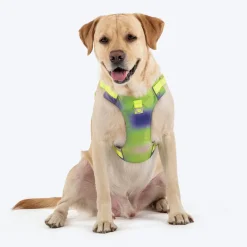 Dash Dog Neon Fusion Outdoor Ease Harness For Dog - Neon Green