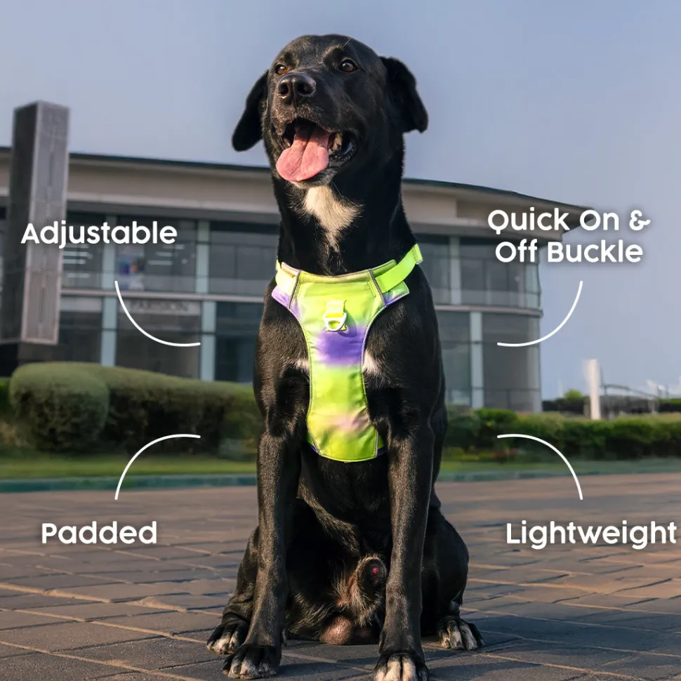 Dash Dog Neon Fusion Outdoor Ease Harness For Dog - Neon Green