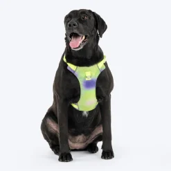 Dash Dog Neon Fusion Outdoor Ease Harness For Dog - Neon Green