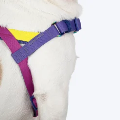 Dash Dog On-The-Go Harness For Dog - Yellow