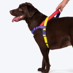 Dash Dog On-The-Go Harness For Dog - Red