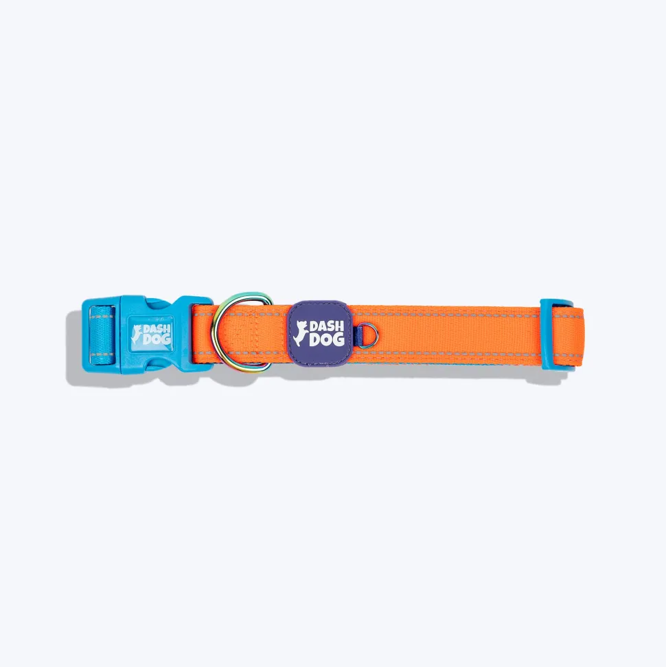 Dash Dog Padded Collar For Dog - Blue & Orange