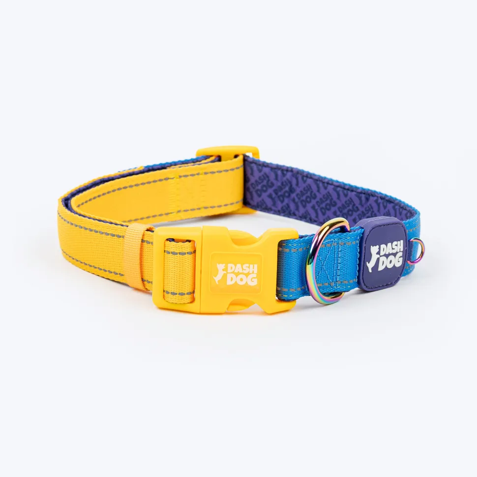 Dash Dog Padded Collar For Dog - Royal Blue & Yellow
