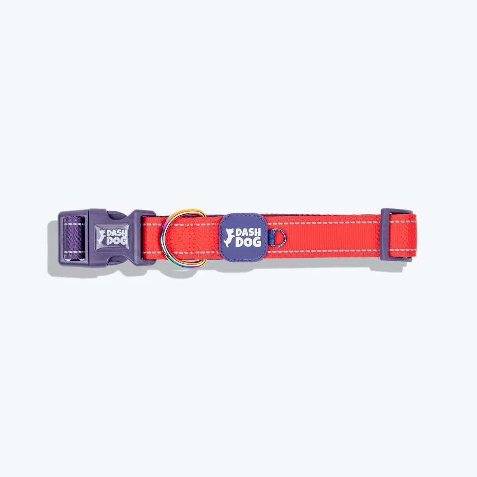 Dash Dog Padded Collar For Dog - Red & Purple