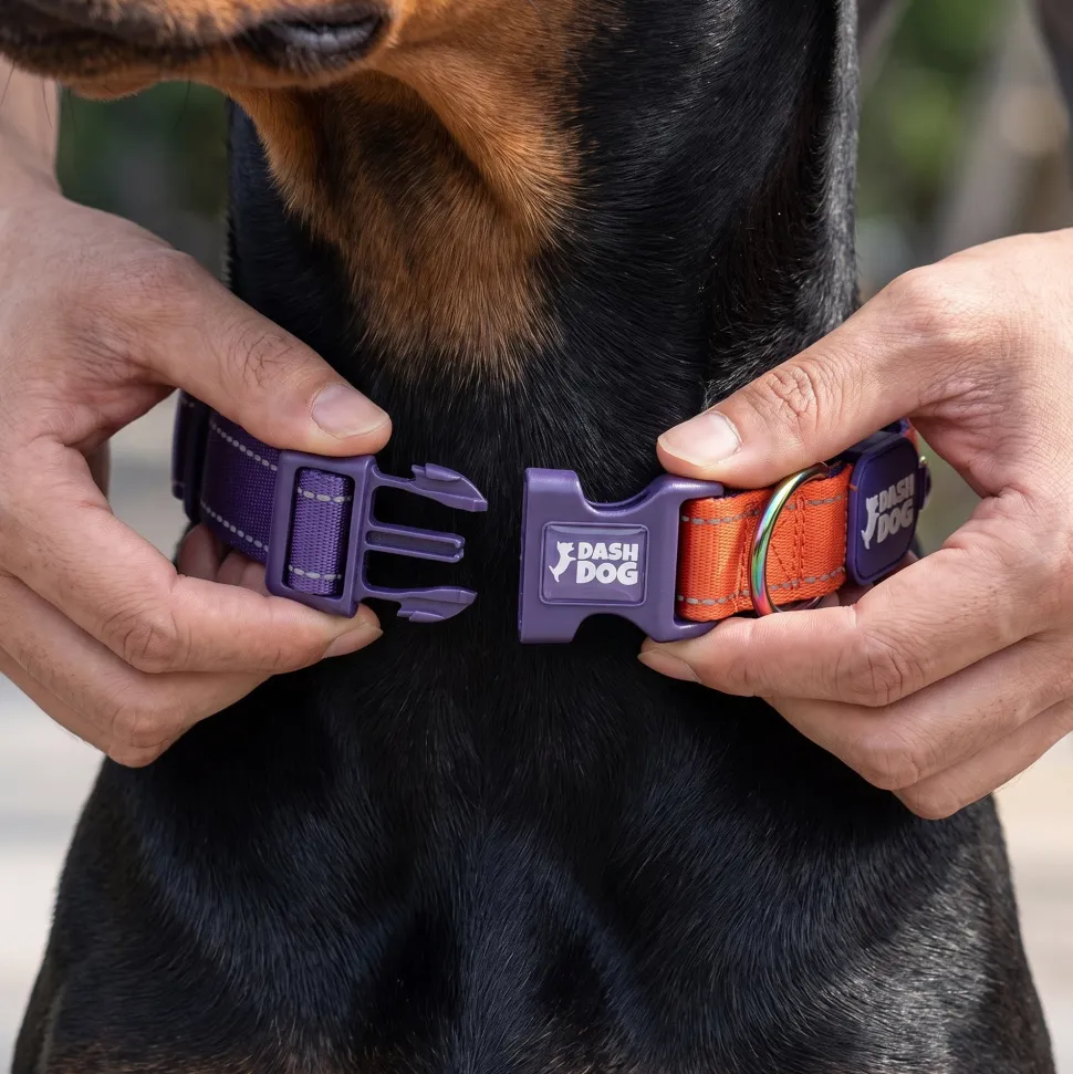 Dash Dog Padded Collar For Dog - Red & Purple
