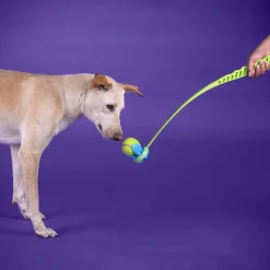 Dash Dog Paw Speed Launcher Interactive Toy For Dog
