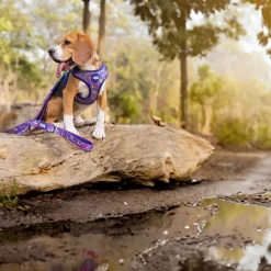 Dash Dog Pixel Easy Walk Harness For Dog - Purple