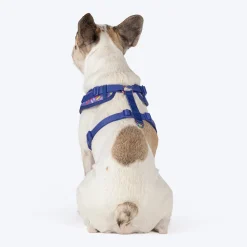 Dash Dog Pixel Easy Walk Harness For Dog - Purple