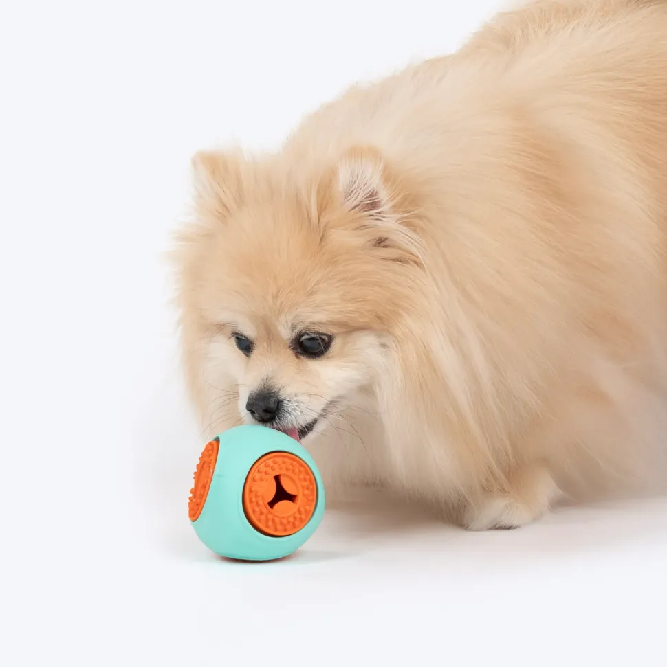 Dash Dog Quadrafun Chew Toy For Dog - Blue & Orange