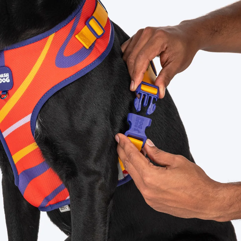 Dash Dog Radiant Blaze Easy Walk Harness For Dog - Orange
