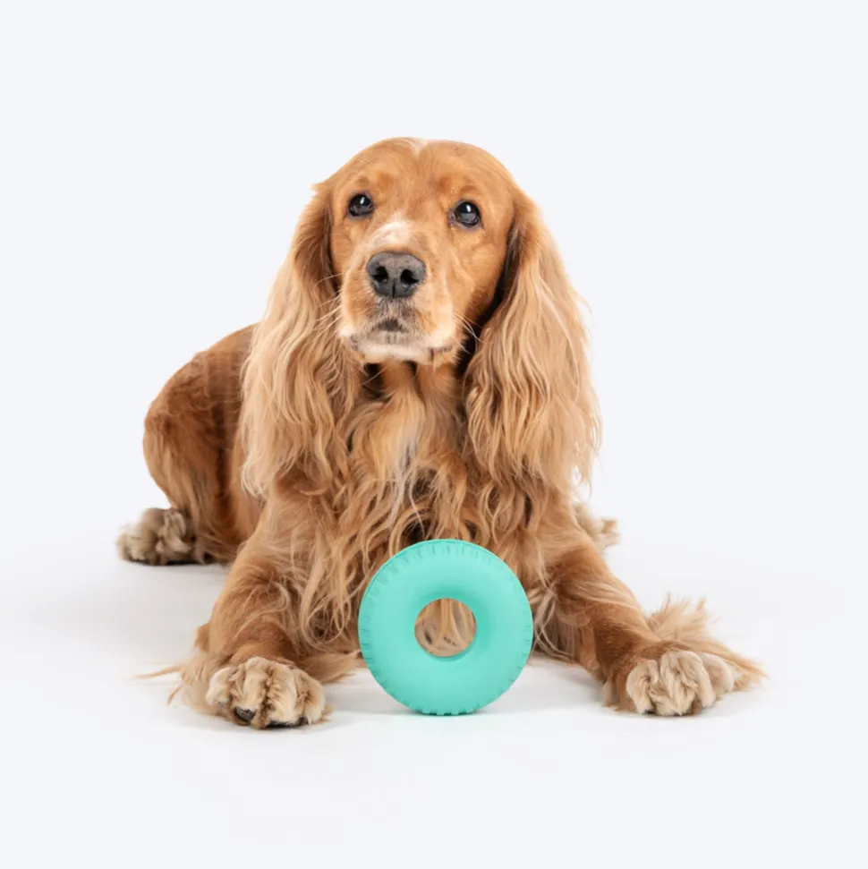 Dash Dog Roll & Chew Tyre Toy For Dog - Teal