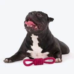 Dash Dog Spin Around Rope Dog Toy - Purple