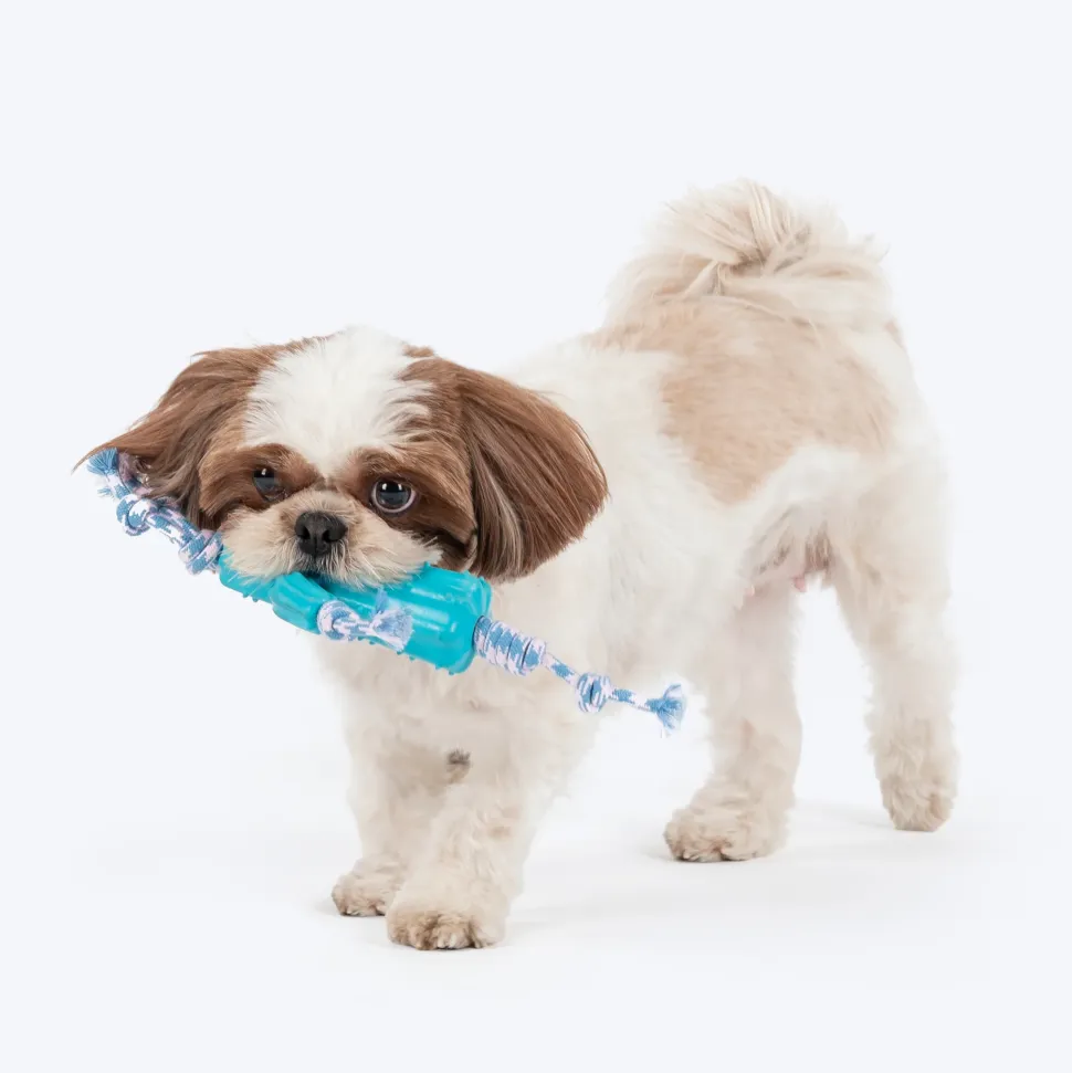 Dash Dog Texas Twist Rope Toy For Dog - White & Turquoise