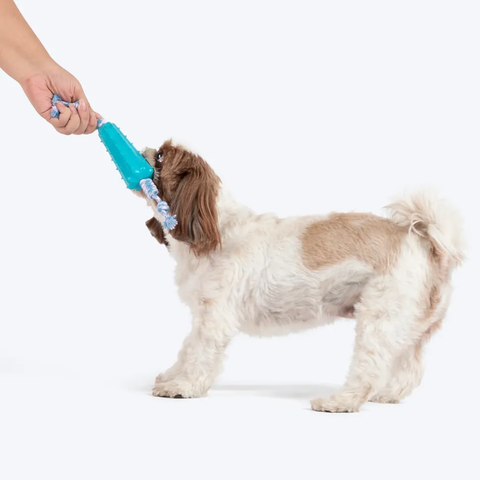 Dash Dog Texas Twist Rope Toy For Dog - White & Turquoise