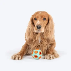 Dash Dog Toss ‘n’ Treat Ball Chew Toy For Dog - Blue & Orange - S