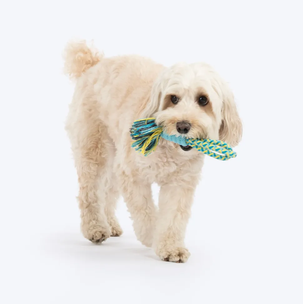 Dash Dog Toss 'n Twirl Rope Toy For Dog - Blue & Yellow