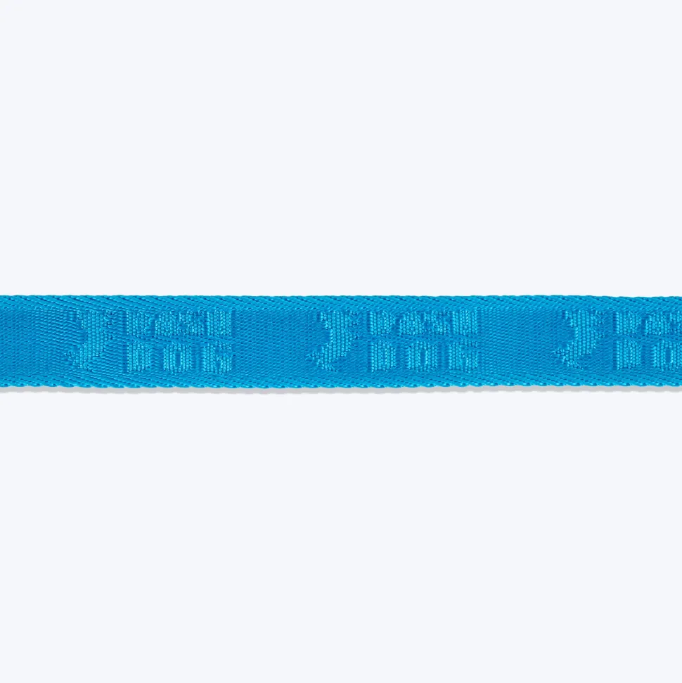 Dash Dog Trailmate Multipurpose Leash For Dog - Blue