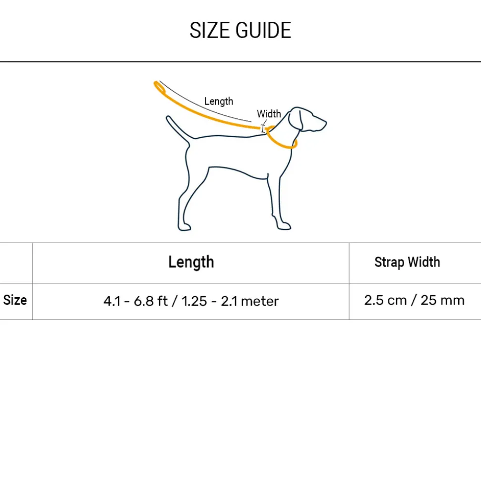 Dash Dog Trailmate Multipurpose Leash For Dog - Blue