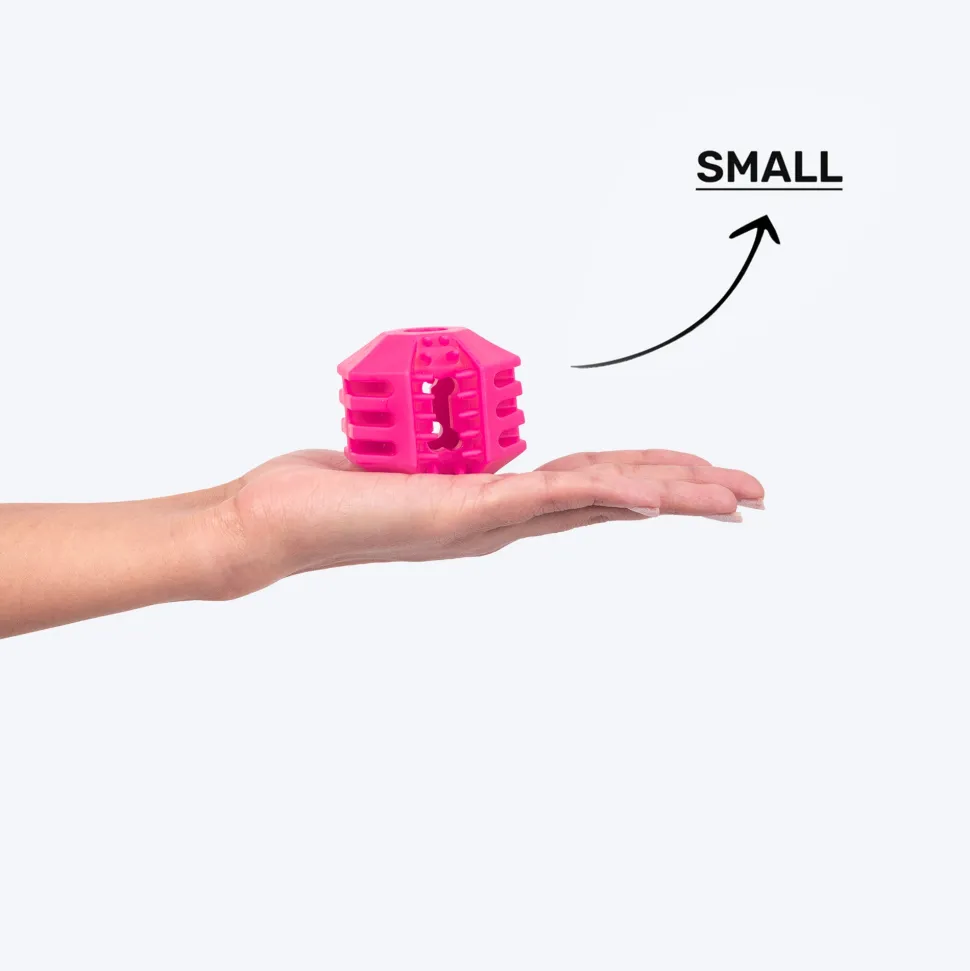 Dash Dog Treat Teaser Chew Toy For Dog - Pink