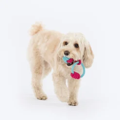 Dash Dog Tugger Ball Rope Toy For Dog - Light Blue & Pink