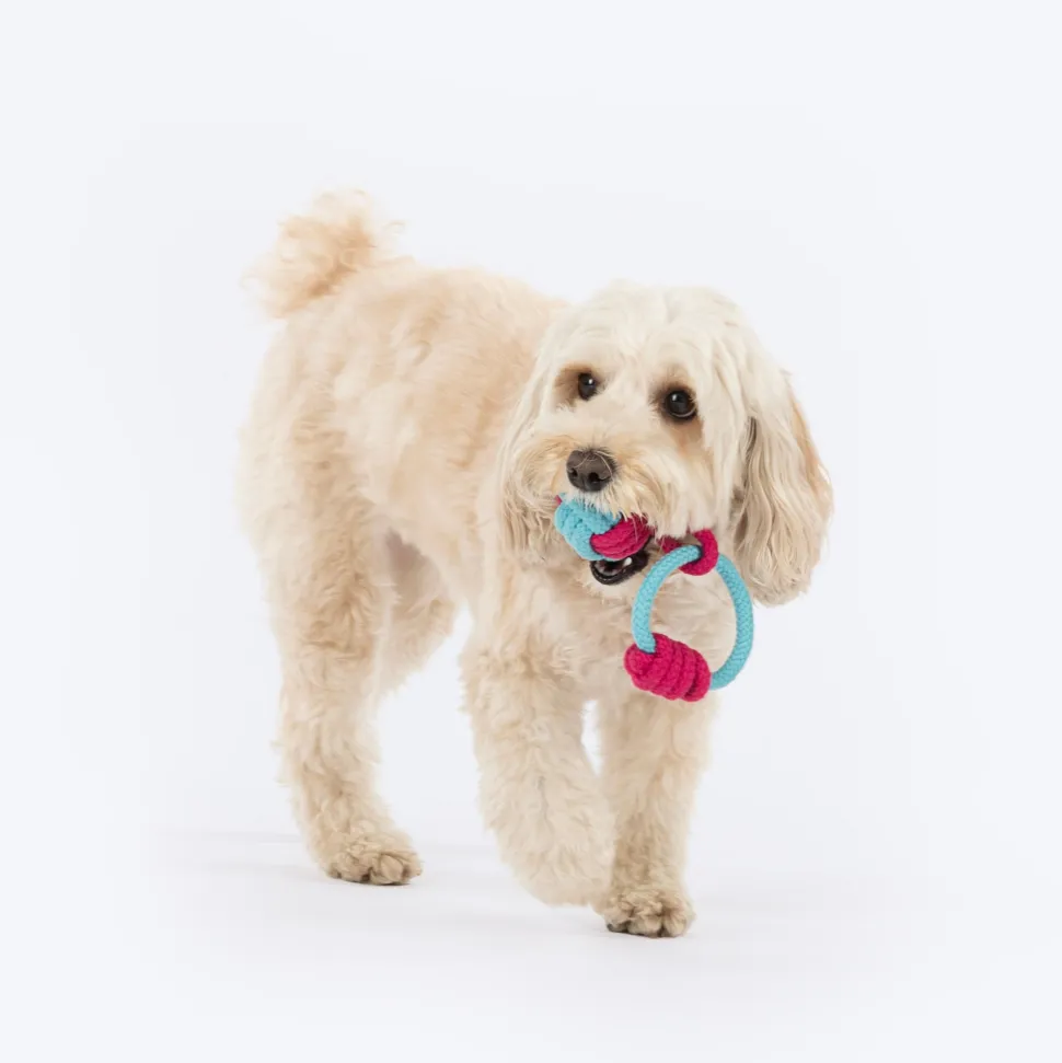 Dash Dog Tugger Ball Rope Toy For Dog - Light Blue & Pink