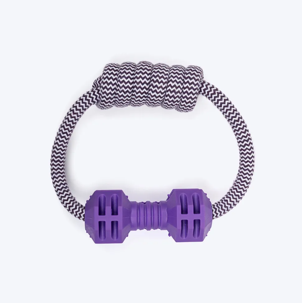 Dash Dog Twin-End Rope Toy For Dog - Purple