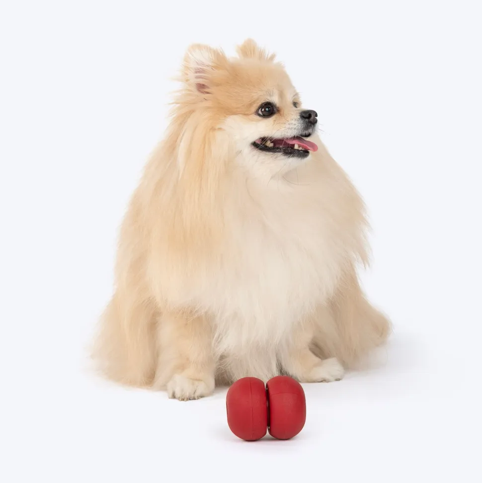 Dash Dog Twist 'n' Chew Toy For Dog - Red