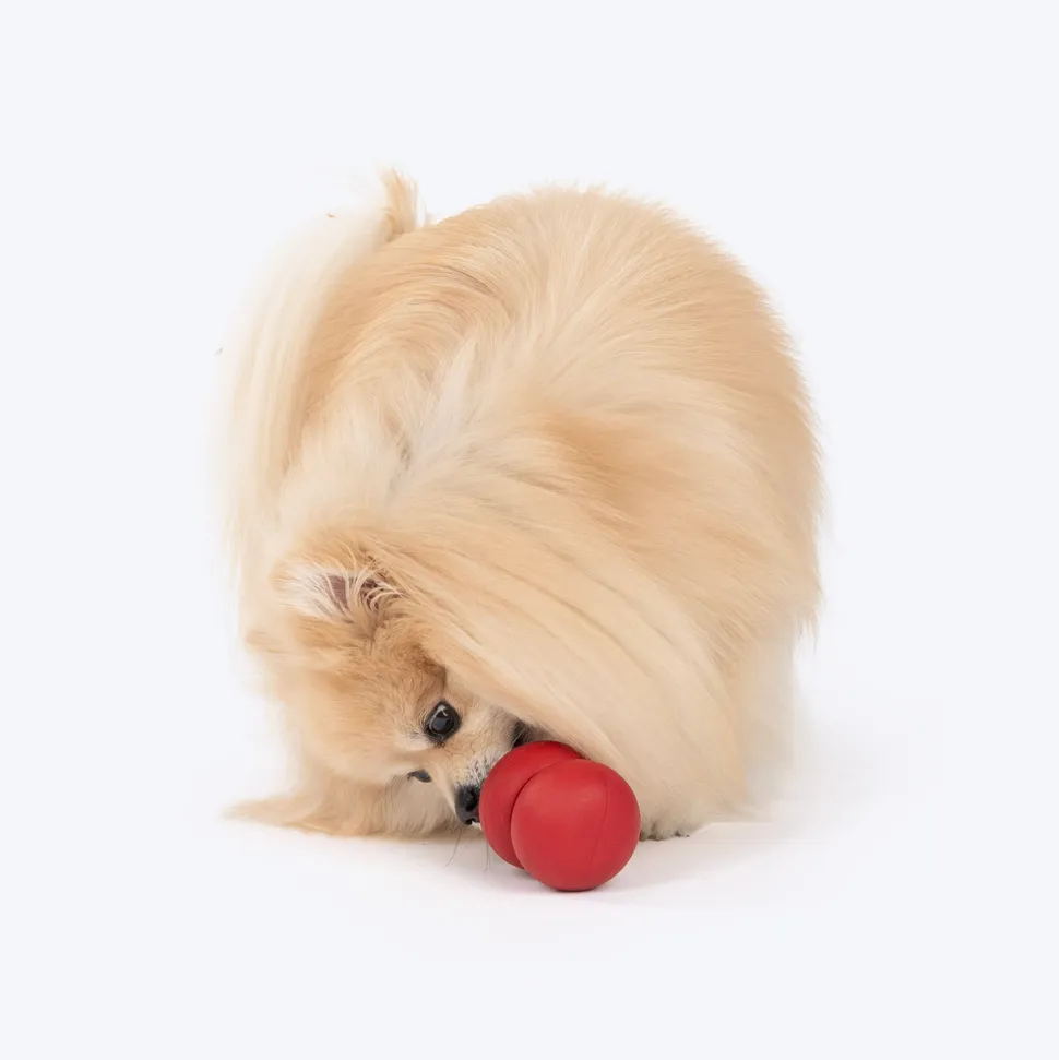 Dash Dog Twist 'n' Chew Toy For Dog - Red